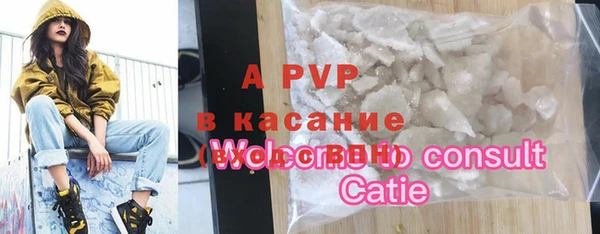 эйфоретик Алзамай