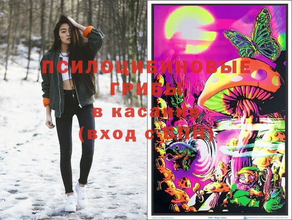 наркотики Алексин
